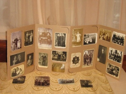 �����������